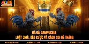 Đá Gà Campuchia - Luật Chơi, Kèo Cược Và Cách Soi Dễ Thắng