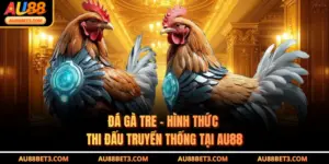 Đá Gà Tre - Hình Thức Thi Đấu Truyền Thống Tại AU88